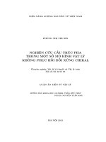 Nghiên cứu cấu trúc pha trong một số mô hình vật lý không phục hồi đối xứng chiral