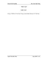 Giải pháp Marketing nhằm nâng cao khả năng cạnh tranh của Công ty TNHH AC Việt Nam