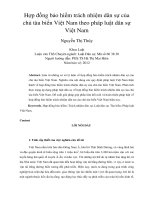 Hợp đồng bảo hiểm trách nhiệm dân sự của chủ tàu biển Việt Nam theo pháp luật dân sự Việt Nam