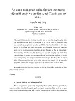 Áp dụng Biện pháp khẩn cấp tạm thời trong việc giải quyết vụ án dân sự tại Tòa án cấp sơ thẩm
