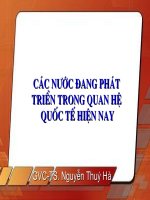 Bài giảng môn quan hệ quốc tế Các nước đang phát triển trong quan hệ quốc tế hiện nay