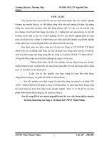 kế toán bán mặt hàng xăng,dầu tại công ty cổ phần XDTM VT Minh Minh