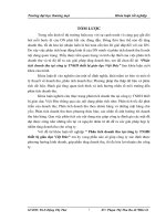 Phân tích doanh thu tại công ty TNHH thiết bị giáo dục Việt Đức