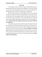 Phân tích hiệu quả sử dụng vốn kinh doanh tại Công ty TNHH SX và TM Minh Đức