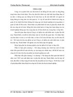 Kế toán tiêu thụ sản phẩm sợi tại Công ty cổ phần sản xuất nhãn mác và phụ liệu dệt may Thanh Bình