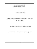 Risk management in commercial banks of Vietnam