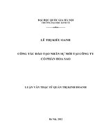 công tác đào tạo nhân sự mới tại công ty cổ phần hoa sao (2)