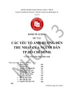 CÁC YẾU TỐ ẢNH HƯỞNG ĐẾN THU NHẬP CỦA NGƯỜI DÂN TP.HỒ CHÍ MINH