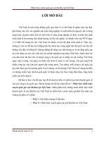 Tiểu luận môn kinh doanh quốc tế Chiến lược xuyên quốc gia của Beeline tại Việt Nam