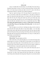 Phát triển thương hiệu dulichtrongoi.biz của công ty Cổ phần Quốc tế truyền thông và du lịch Rồng Việt qua các hoạt động truyền thông online