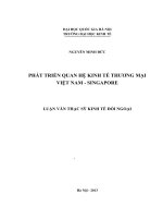 Phát triển quan hệ kinh tế thương mại Việt Nam - Singapore