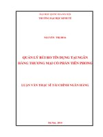Quản lý rủi ro tín dụng tại ngân hàng Thương mại cổ phần Tiên Phong
