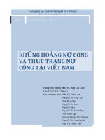 TIỂU LUẬN MÔN LÝ THUYẾT TÀI CHÍNH TIỀN TỆ KHỦNG HOẢNG NỢ CÔNG VÀ THỰC TRẠNG NỢ CÔNG Ở VIỆT NAM