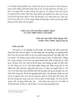 Tiếp cận tín ngưỡng phồn thực từ góc nhìn phân tâm học