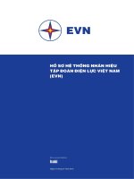 HỒ SƠ HỆ THỐNG NHÃN HIỆU TẬP ĐOÀN ĐIỆN LỰC VIỆT NAM  (EVN)