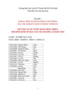 Tiểu luận môn tài chính tiền tệ NỢ CÔNG Ở CÁC NƯỚC ĐANG PHÁT TRIỂN MÔ HÌNH KINH TẾ DỰA VÀO THỊ TRƯỜNG CÓ KHẢ THI
