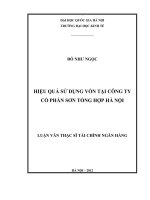 Hiệu quả sử dụng vốn tại Công ty Cổ phần Sơn tổng hợp Hà Nội