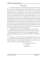 Phát triền truyền thông marketing thương hiệu của công ty TNHH xây dựng An Bình