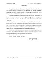 Giải pháp nâng cao  năng lực cạnh tranh marketing của Công ty Cổ phần Sản xuất và Thương mại An Thành Phát