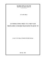 An ninh lương thực của Việt Nam trong bối cảnh hội nhập kinh tế quốc tế