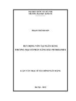 Huy động vốn tại Ngân hàng Thương mại cổ phần Xăng dầu Petrolimex