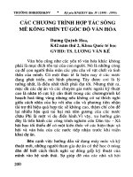 Các chương trình hợp tác sông Mê Kông nhìn từ góc độ văn hóa