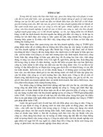 Phát triển văn hóa doanh nghiệp tại công ty TNHH giải pháp phần mềm CMC