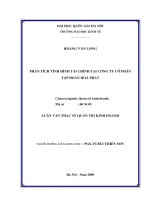 Phân tích tình hình tài chính tại Công ty Cổ phần Tập đoàn Hòa Phát