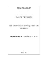 Định giá Công ty Cổ phần Nhựa Thiếu niên tiền phong