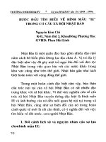 Bước đầu tìm hiều về hình mẫu  IE  trong cơ cấu xã hội Nhật Bản