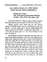 Đặc điểm chính của tiến trình hình thành tiếng Inđônêxia