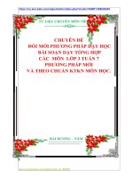 CHUYÊN ĐỀ  ĐỔI MỚI PHƯƠNG PHÁP DẠY HỌC: BÀI SOẠN DẠY TỔNG HỢP CÁC MÔN LỚP 3 TUẦN 7  PHƯƠNG PHÁP MỚI  VÀ THEO CHUẨN KTKN MÔN HỌC.