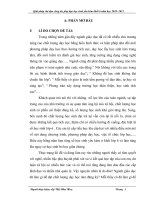 tskkn Gỉải pháp chỉ đạo công tác phụ đạo học sinh yếu kém khối 6 năm học 2010 2011