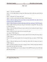 Hoàn thiện hoạch định chiến lược phát triển thị trường tại công ty TNHH Tràng An