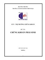 Tiểu luận chứng khoán phái sinh