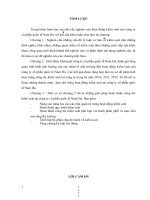 Hoàn thiện công tác kiểm soát tại công ty cổ phần quốc tế Nam Hà