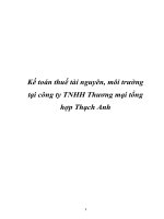 Kế toán thuế tài nguyên, môi trường tại công ty TNHH Thương mại tổng hợp Thạch Anh