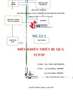 ĐỒ ÁN THIẾT KẾ VÀ THI CÔNG MẠCH ĐIỀU KHIỂN QUA MẠNG INTERNET