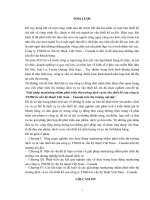 Giải pháp marketing nhằm phát triển thị trường dịch vụ tư vấn thiết kế của công ty TNHH tư vấn kỹ thuật Việt Nam – Canada trên thị trường nội địa