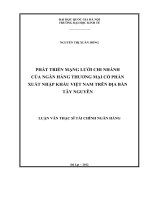 Phát triển mạng lưới chi nhánh của Ngân hàng Thương mại cổ phần xuất nhập khẩu Việt Nam trên địa bàn Tây Nguyên