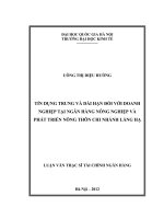 Tín dụng trung và dài hạn đối với doanh nghiệp tại Ngân hàng Nông nghiệp và Phát triển Nông thôn chi nhánh Láng Hạ