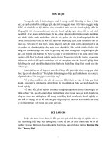 Giải pháp nhằm nâng cao hiệu quả kinh doanh của Công ty Cổ Phần In Sao Việt