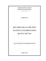 Phát triển cho vay tiêu dùng tại Công ty Tài chính cổ phần Dệt may Việt Nam