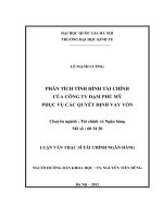 Phân tích tình hình tài chính của Công ty Đạm Phú Mỹ phục vụ các quyết định vay vốn