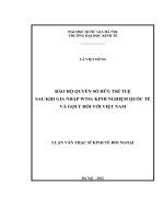 Bảo hộ quyền sở hữu trí tuệ sau khi gia nhập WTO
