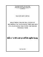 Hoạt động thanh tra, giám sát hệ thống các ngân hàng trên địa bàn của ngân hàng nhà nước chi nhánh tỉnh Bắc Ninh