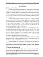 Hoàn thiện công tác tổ chức lực lượng bán hàng của công ty TNHH Tân Giếng Đáy