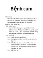 Bệnh cúm: Nguyên nhân dịch tễ học, triệu chứng: lâm sàng và cận lâm sàng, tiến triển và biến chứng, chẩn đoán, điều trị