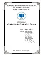 TIỂU LUẬN MÔN LÝ THUYẾT TÀI CHÍNH TIỀN TỆ ĐIỀU TIẾT VÀ GIÁM SÁT HỆ THỐNG TÀI CHÍNH