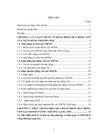 Một số giải pháp nhằm nâng cao hiệu quả huy động vốn tại chi nhánh Ngân hàng Thương mại Cổ phần Công thương Lạng Sơn